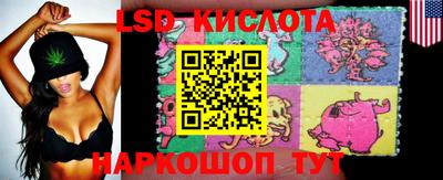 a pvp Ставрополь