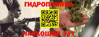 a pvp Ставрополь